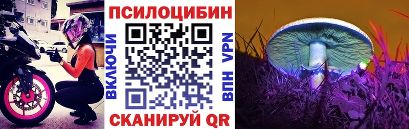 Галлюциногенные грибы Psilocybine cubensis  blacksprut ссылка  Барнаул  купить наркоту 